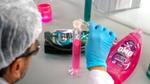 Laboratuvar önlüğüyle bir araştırmacı pembe Omo Express Fresh varyantını lab tüpüne dolduruyor.